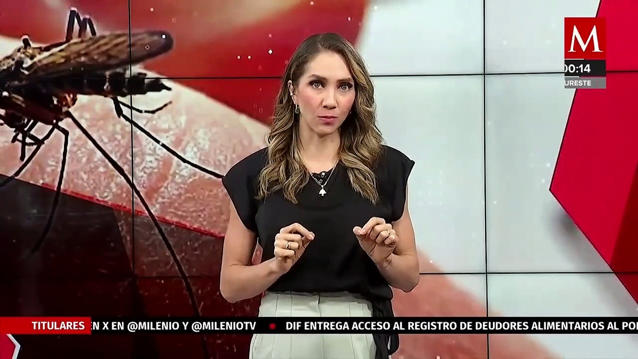 Puebla en alerta por aumento exponencial de casos de dengue y hospitalizaciones