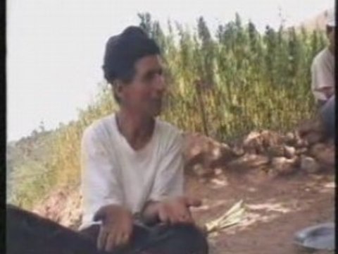 La Culture Du Cannabis Au Maroc Kif Kif - kif, maroc,