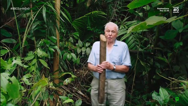 Bosques Tropicales: Biodiversidad y Ecosistemas en Peligro