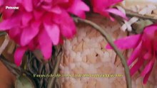 Preview Presents: Take Root | Kim Chiu | PREVIEW