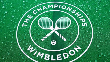 Resumen de Wimbledon 🏆