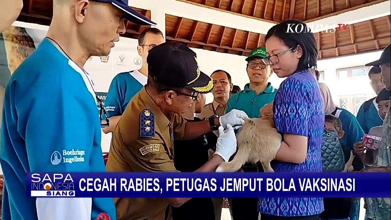 Cegah Rabies, Petugas di Bali Adakan Vaksinasi untuk Anjing Peliharaan