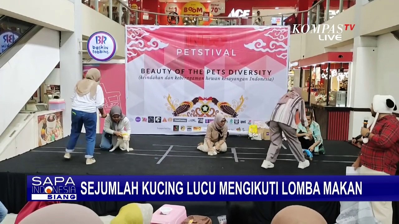 Menghibur! Sejumlah Kucing di Malang Jawa Timur Ini Ikuti Lomba Makan