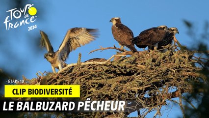 Tour de France de la biodiversité - Etape 10 - #TDF2024