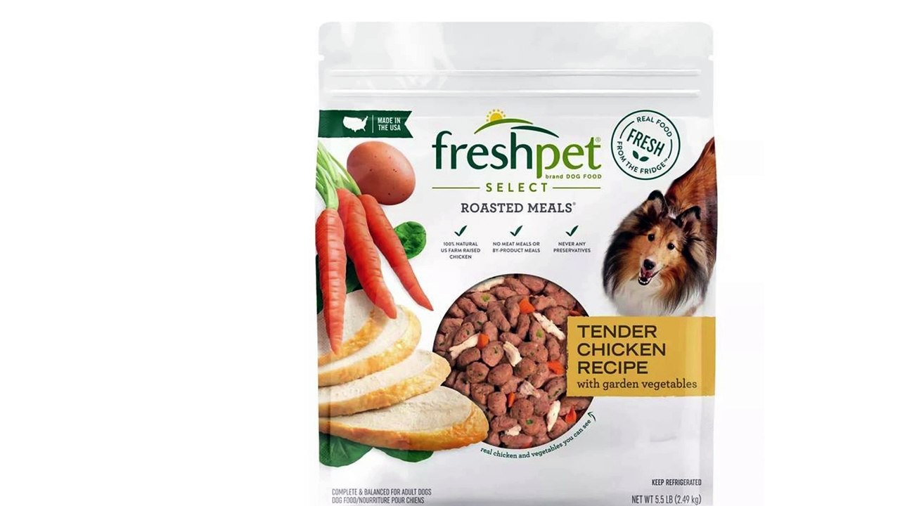 Top 9 Dog Food Brands, Pawsitively Approved by 400+ Canines