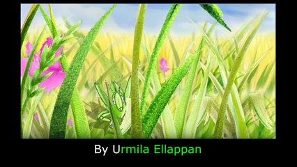Zippy the Zebra- Story for Children @kid fun