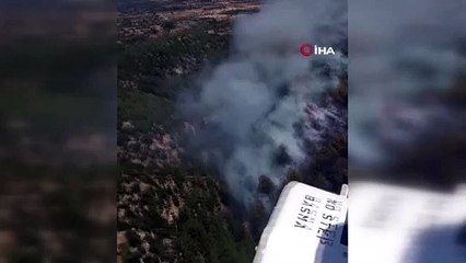 Bodrum'da orman yangını! Havadan ve karadan müdahale sürüyor