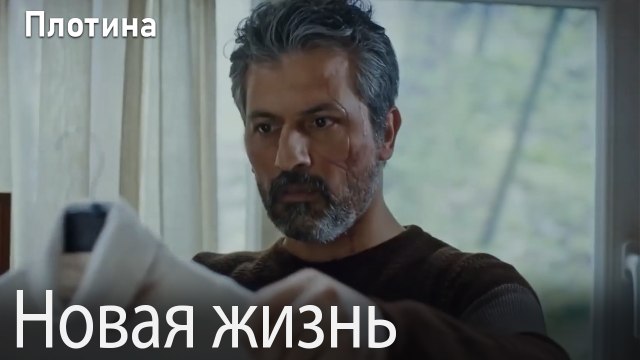 Новая жизнь