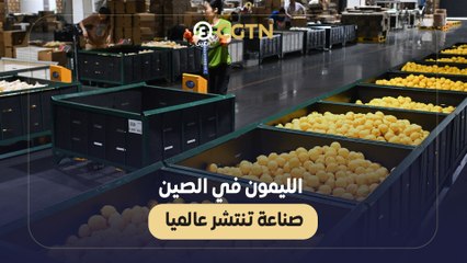 الليمون في الصين.. صناعة تنتشر عالميا