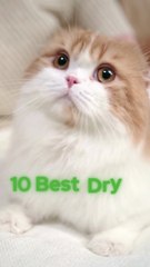 10 Best  Dry & Wet Cat  Food Options 