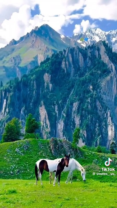 Beautiful view