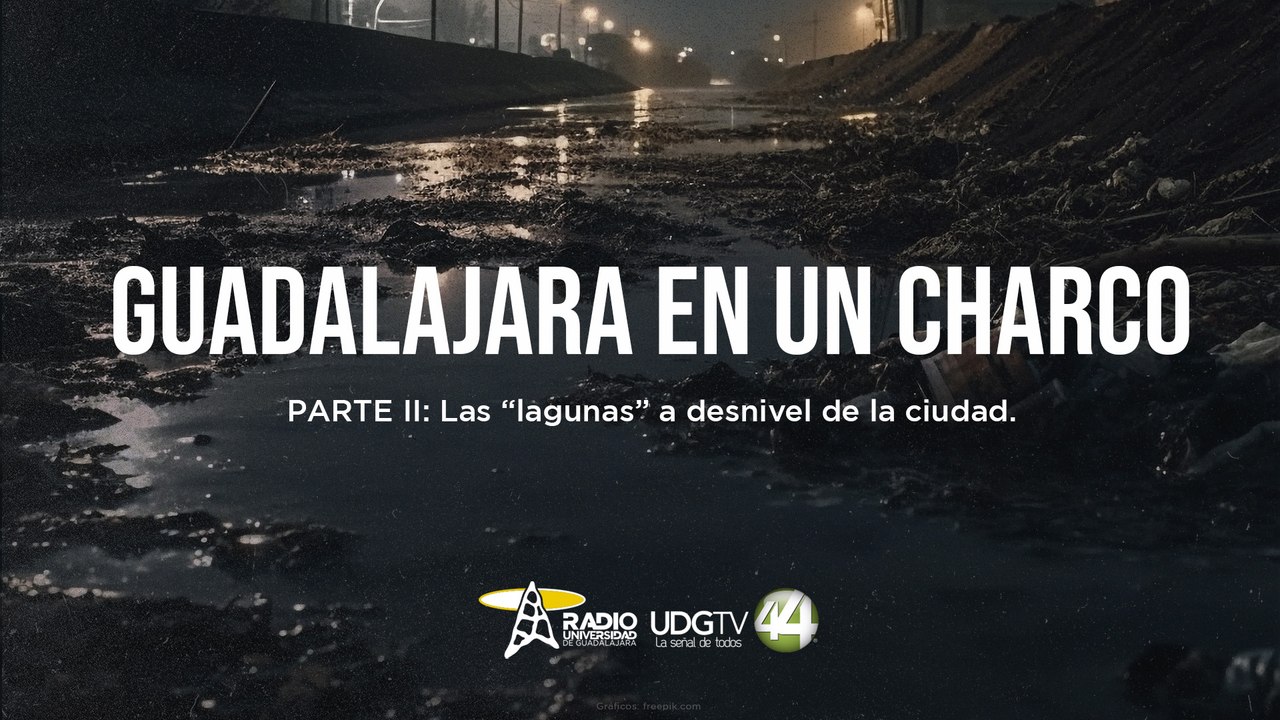 Guadalajara en un charco Parte II: Las “lagunas” a desnivel de la ciudad