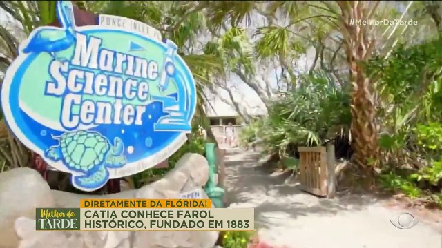 Direto da Flórida: Conheça o centro de resgate de animais marinhos dos EUA
