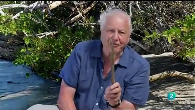 Galápagos con David Attenborough. Origen - Documental