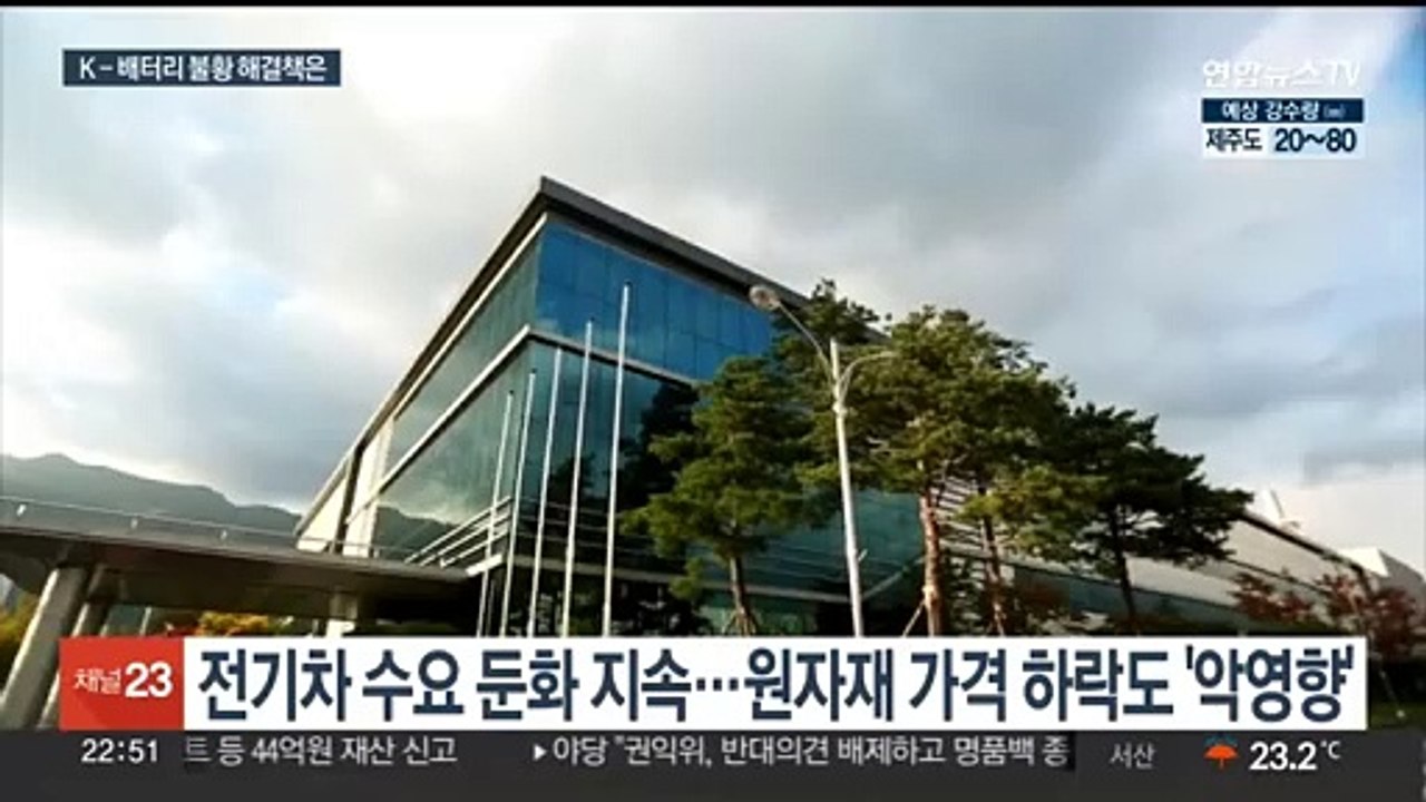 보릿고개 맞은 'K-배터리'…하반기 실적 반등 시도