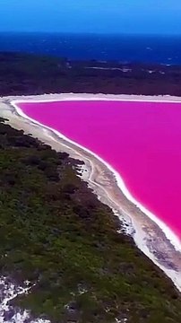 Lago Hillier, Australia #travel #viralvideo #viral