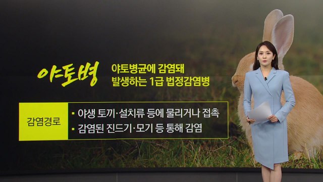 소 생간 먹고 복통·발열... '야토병' 의심 사례 발생 [앵커리포트] / YTN