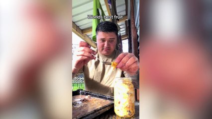 Dad dives to catch his pregnant wife’s craving - sea urchins