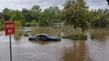Etats-Unis : les dégâts de la tempête Béryl à Houston, au Texas