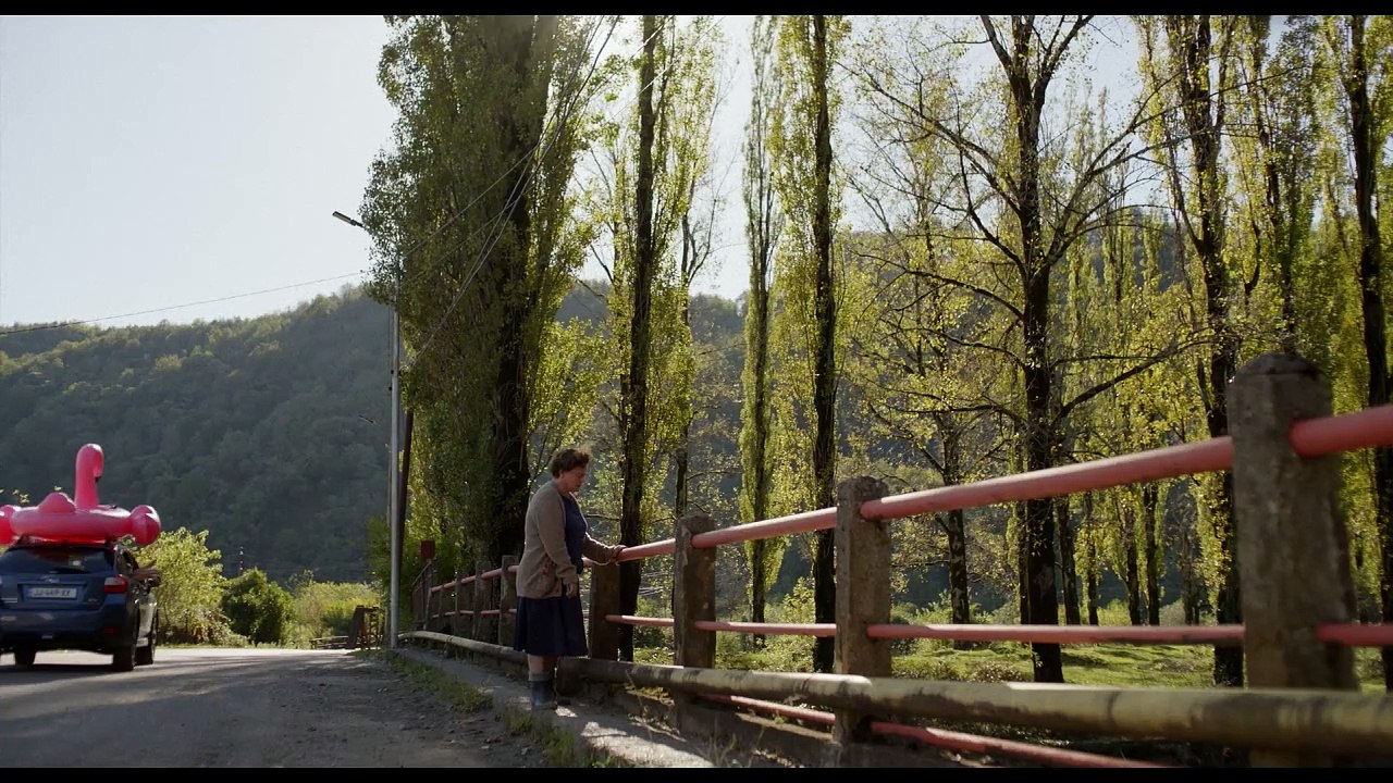 Blackbird, Blackberry - Tráiler VOSE