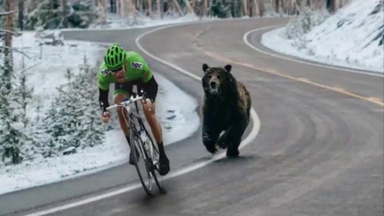 Funny Moments Of The Year Compilation 