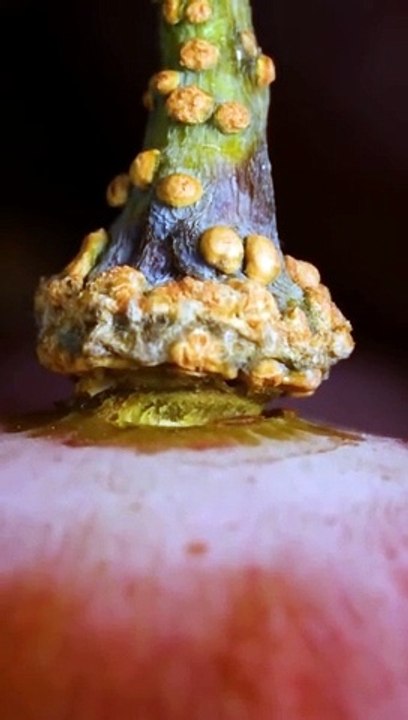 Mix objects closeup ASMR