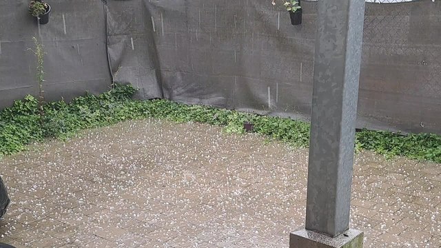 Violente averse de grêles à Tournai, le 9 juillet 2024