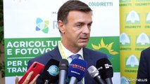 Agrivoltaico, Prandini: sostegno transizione senza consumo suolo