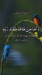 Qari Khubaib Dogar tilawat