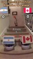 El perro infalible pronostica el Argentina - Canadá