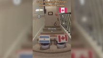 El perro infalible pronostica el Argentina - Canadá
