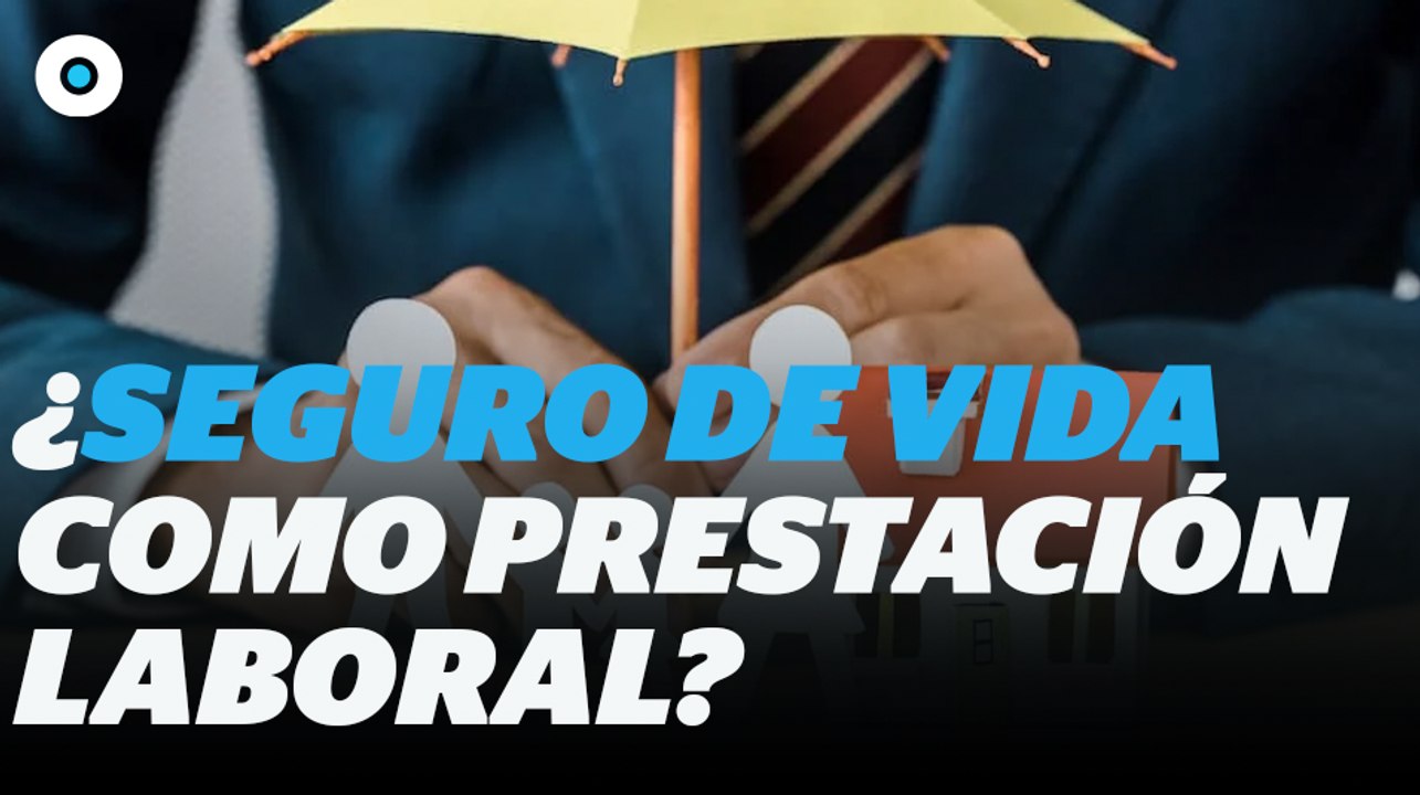 ¿Puedes tener un seguro de vida como prestación laboral? I reporte Indigo