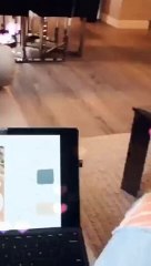 Materialization Inspiration for the Calgary, AB Hotel Project.