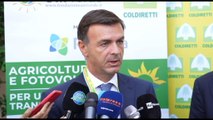 Agrivoltaico, Prandini: sostegno transizione senza consumo suolo