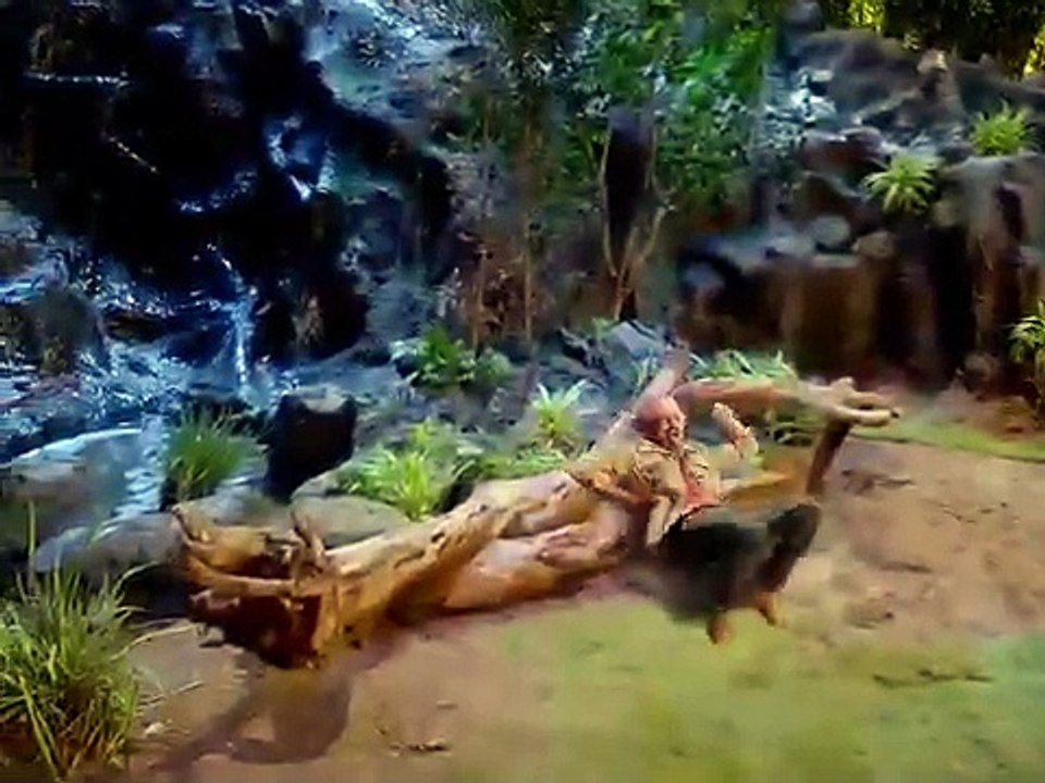 Bollywood funny video