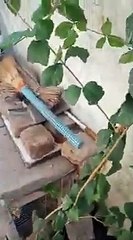 How to make chicken coop used by Abandoned wood and tin Cheapest hen cage by API ji k ideas(360P)