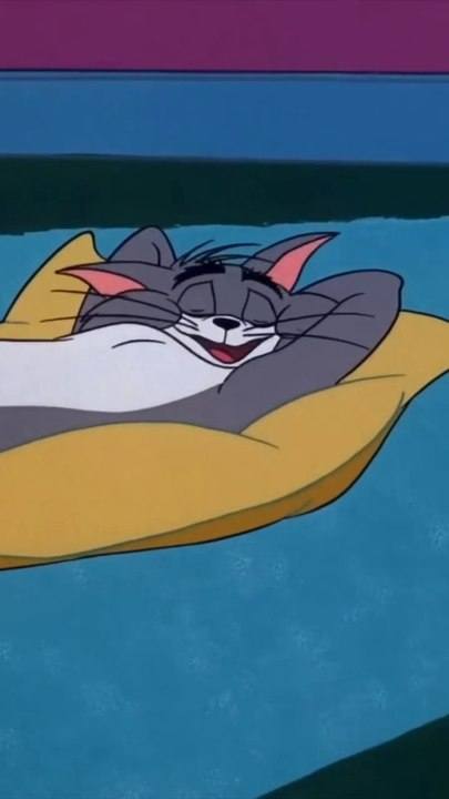 tom and jerry funny video