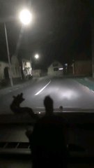 Șogor Tiberiu Adrian 9/07/2024