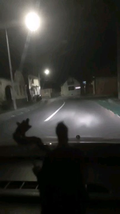 Șogor Tiberiu Adrian 9/07/2024