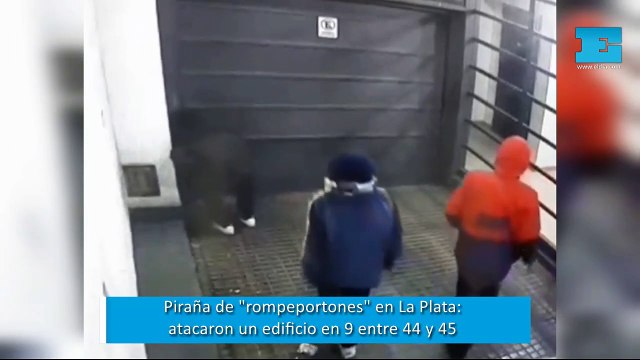 Las pirañas rompeportones en La Plata: en banda, atacaron un edificio céntrico