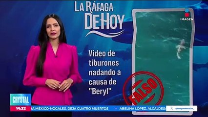 Desmiente video de tiburones nadando a causa de Beryl