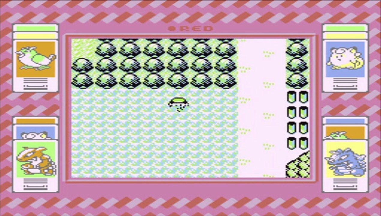 Pokémon Red-Taking On Brock