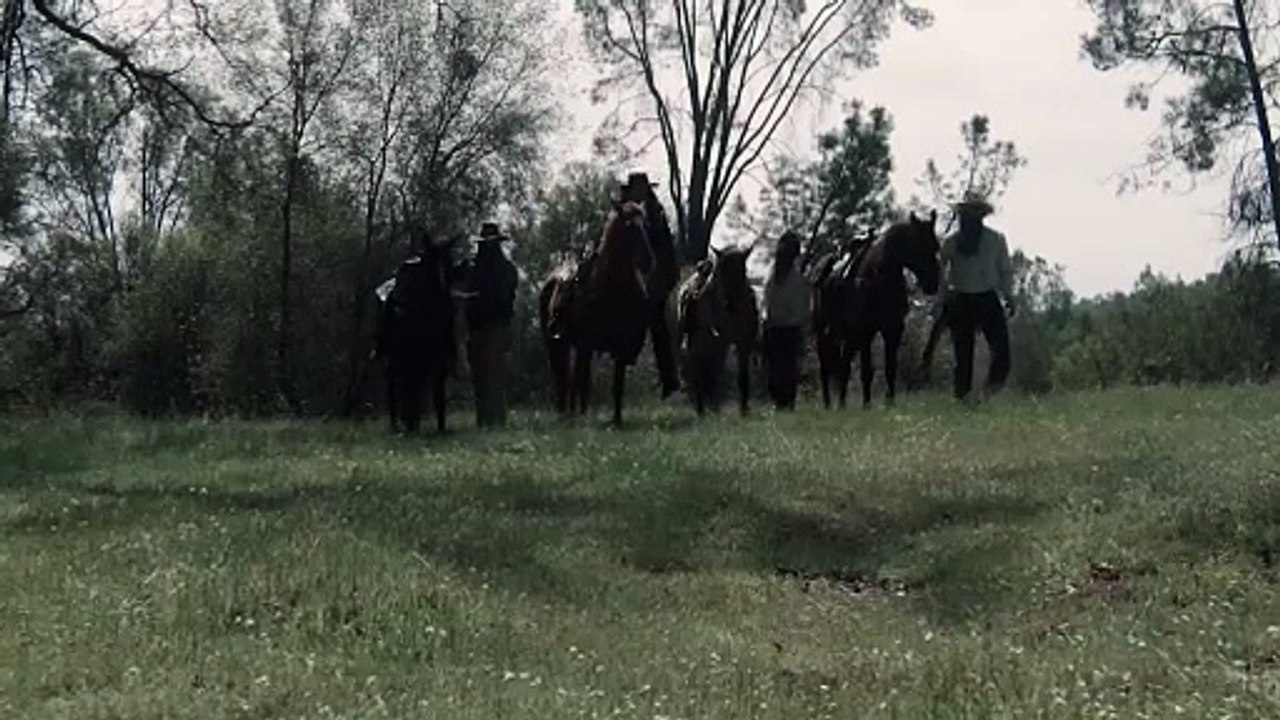 Among the Willows | movie | 2023 | Official Teaser