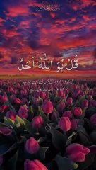 قل ھوول احدا