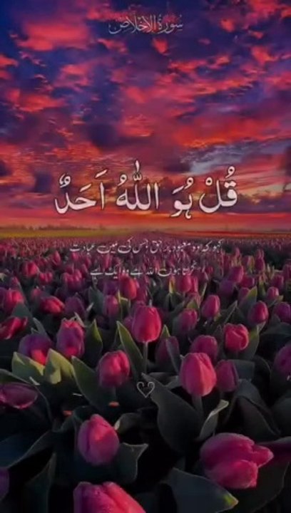قل ھوول احدا