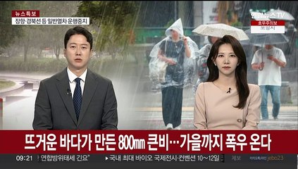 뜨거운 바다가 만든 810㎜ 큰비…가을까지 폭우 온다