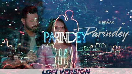 Parindey (Lofi) | B Praak | Gippy Grewal, Sargun Mehta & Roopi Gill | Latest Punjabi Songs 2024