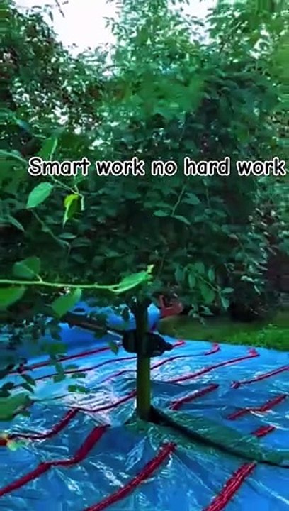 Smart work