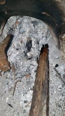 Oh, what's in the pile of ashes?