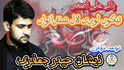 ہیئی ماں دے نال آخیری رات اصغر ،سرائیکی نوحہ، نوحہ خوان ذیشان حیدر جعفری